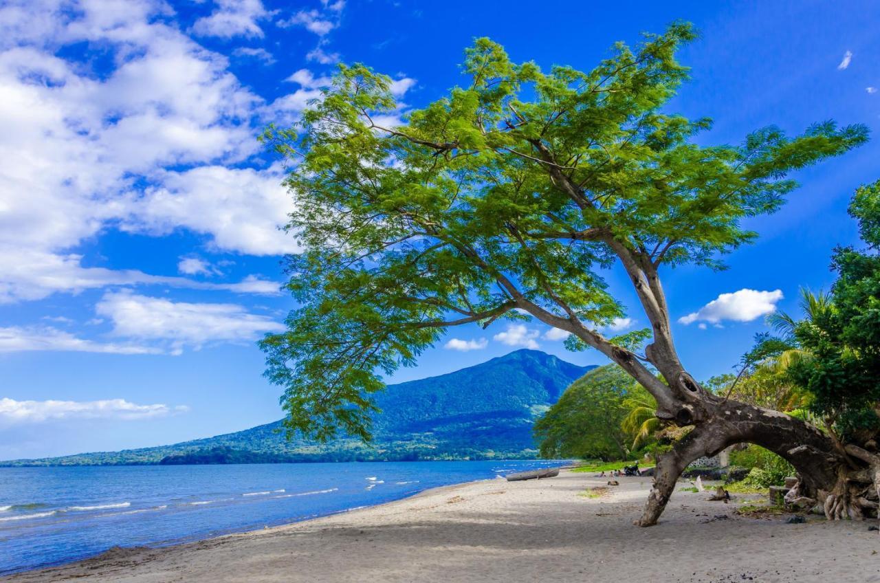 Xalli Beach Hotel Altagracia エクステリア 写真